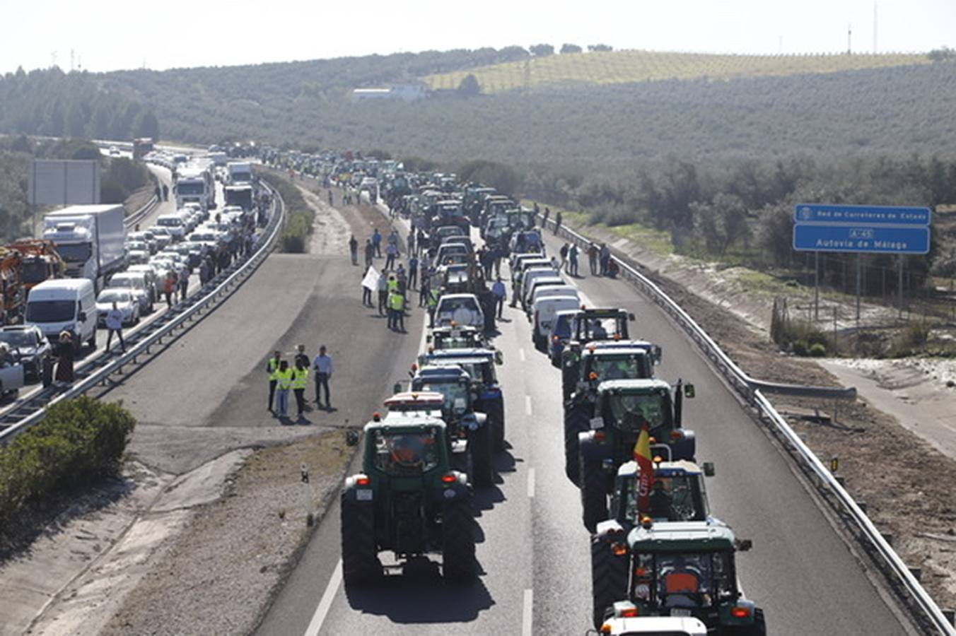 La marcha de agricultores y ganaderos en Lucena, en imágenes (II)