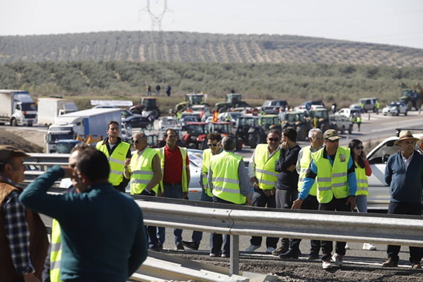 La marcha de agricultores y ganaderos en Lucena, en imágenes (II)