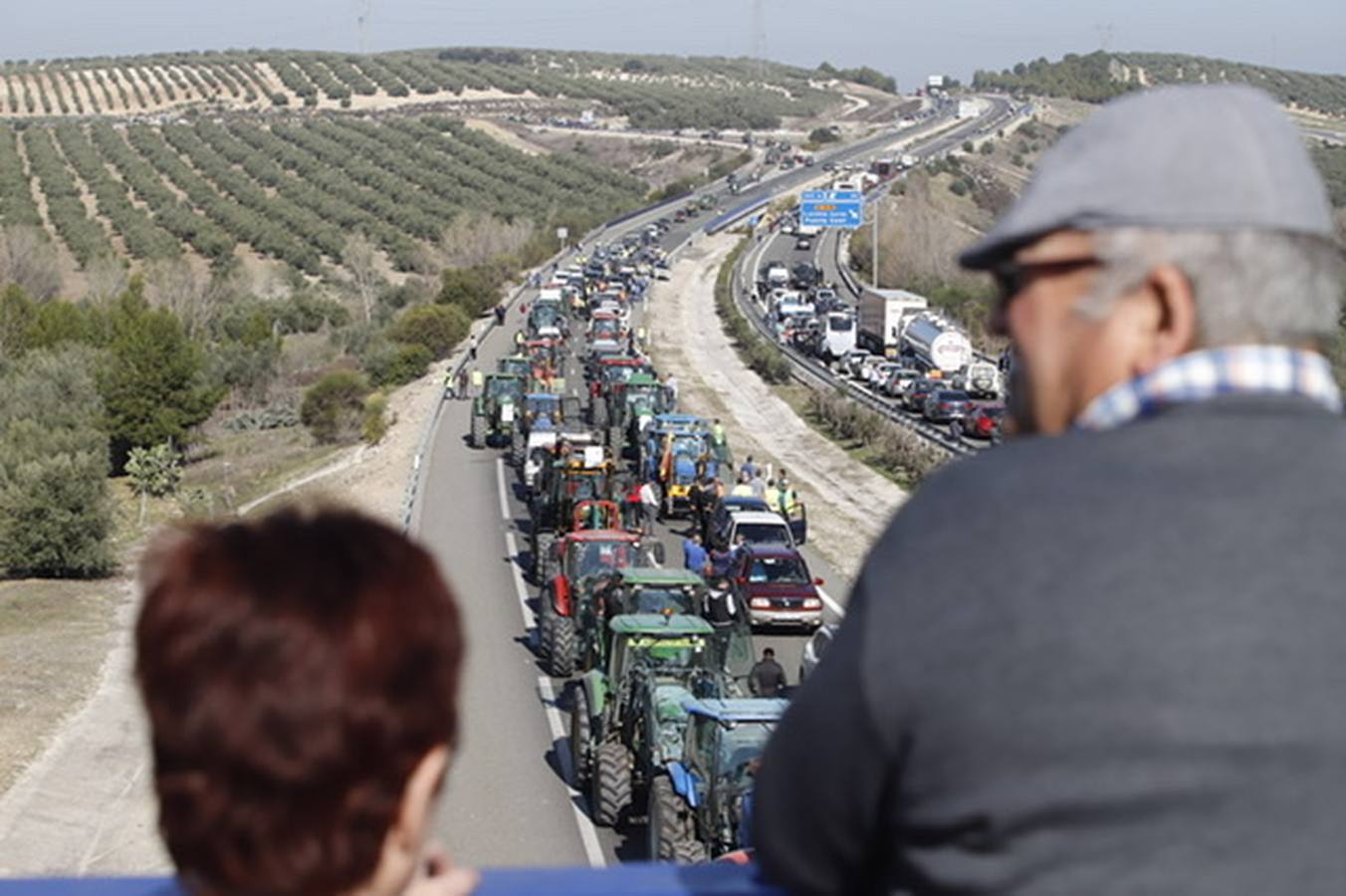 La marcha de agricultores y ganaderos en Lucena, en imágenes (II)