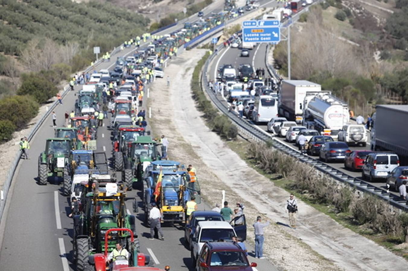 La marcha de agricultores y ganaderos en Lucena, en imágenes (II)