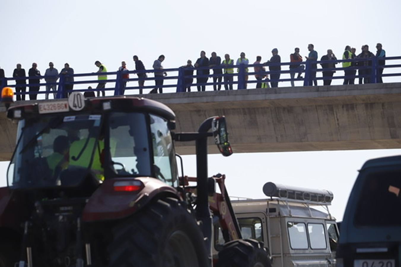 La marcha de agricultores y ganaderos en Lucena, en imágenes (II)