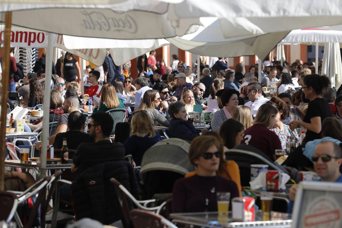 El buen tiempo en Córdoba, en imágenes