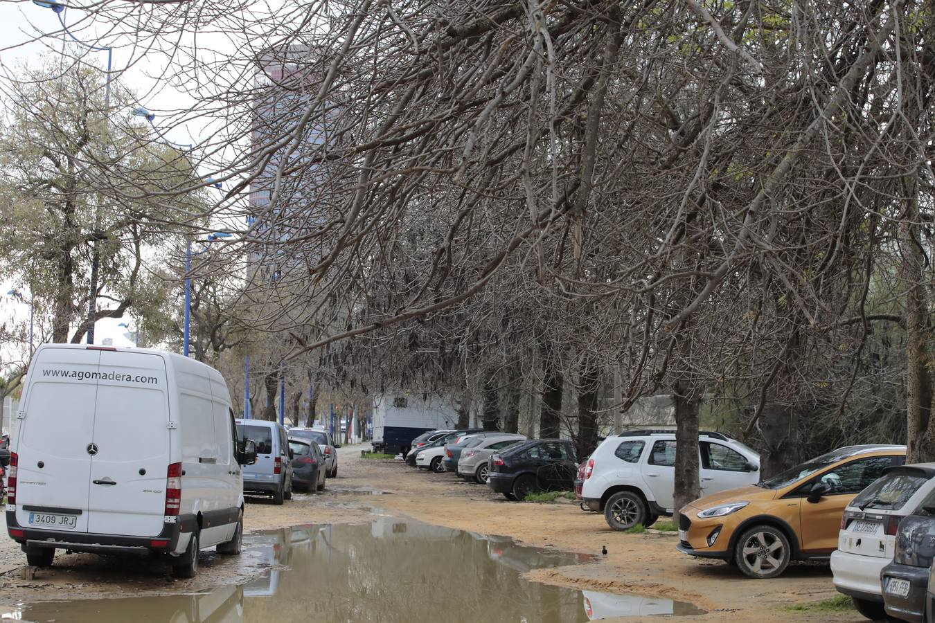 La desidia en la Isla de la Cartuja de Sevilla, en imágenes