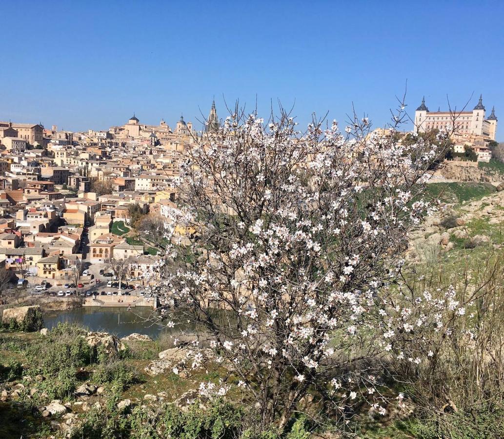 En imágenes: los almendros en flor del Valle de Toledo