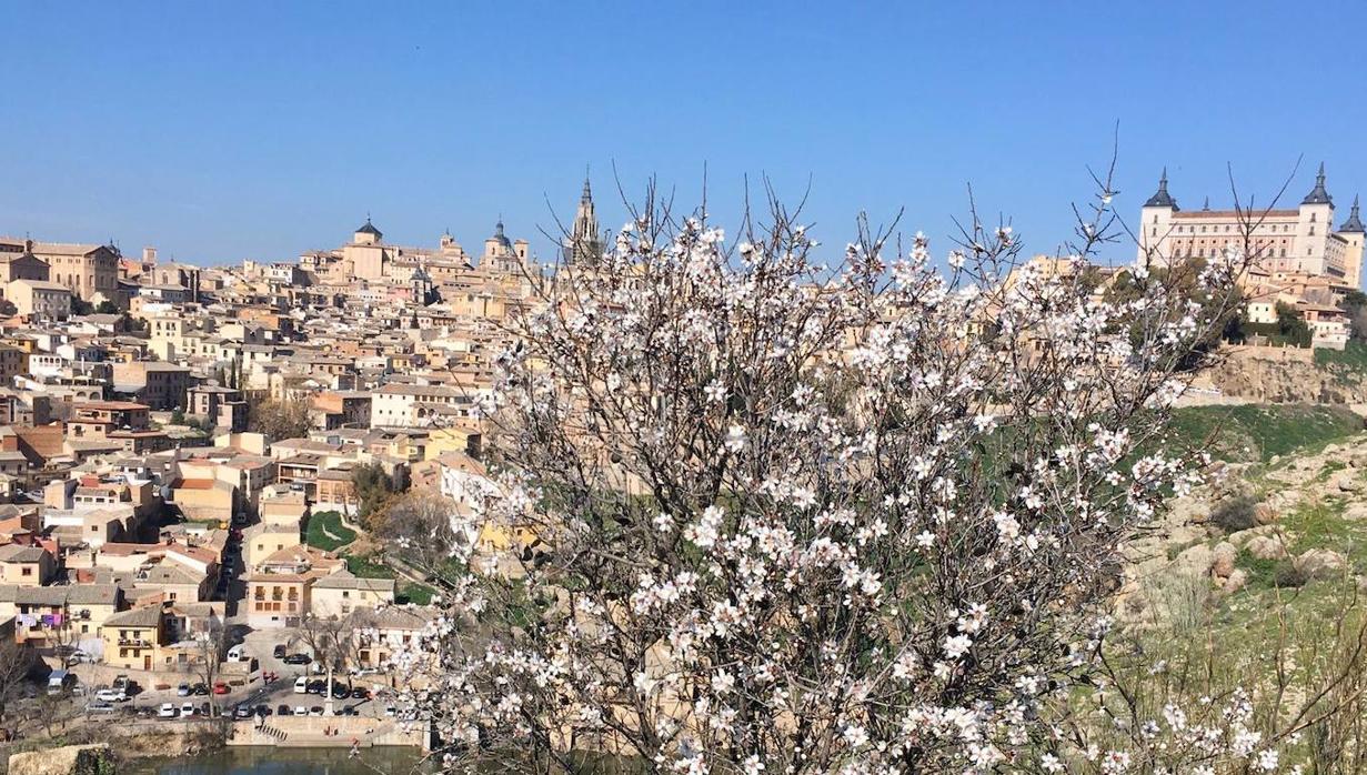 En imágenes: los almendros en flor del Valle de Toledo