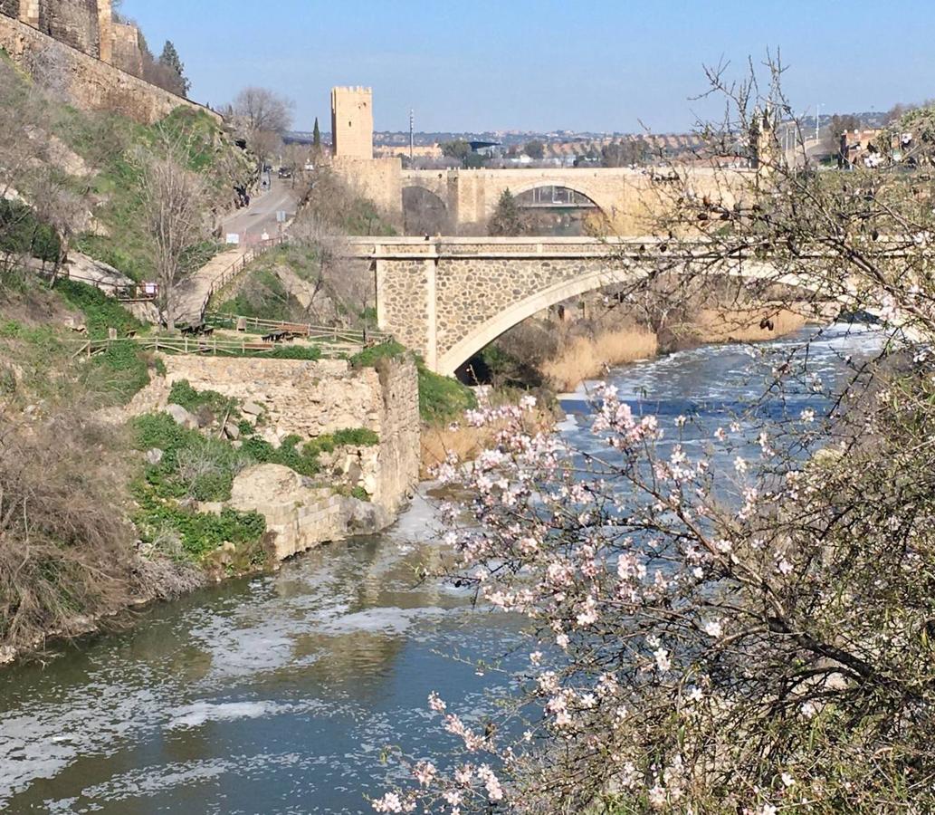 En imágenes: los almendros en flor del Valle de Toledo