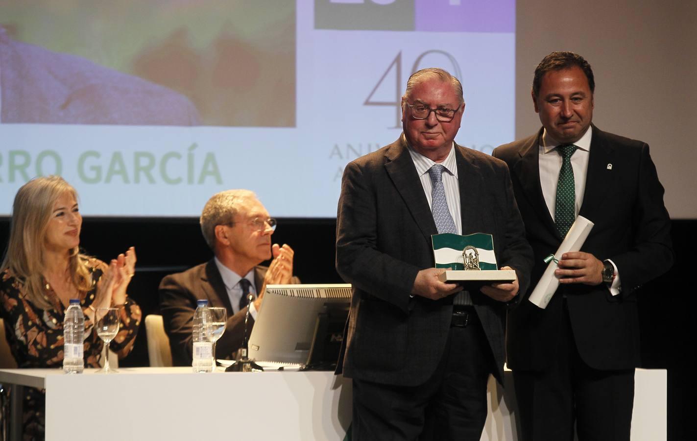 Entrega de «Banderas de Andalucía» de la provincia de Sevilla