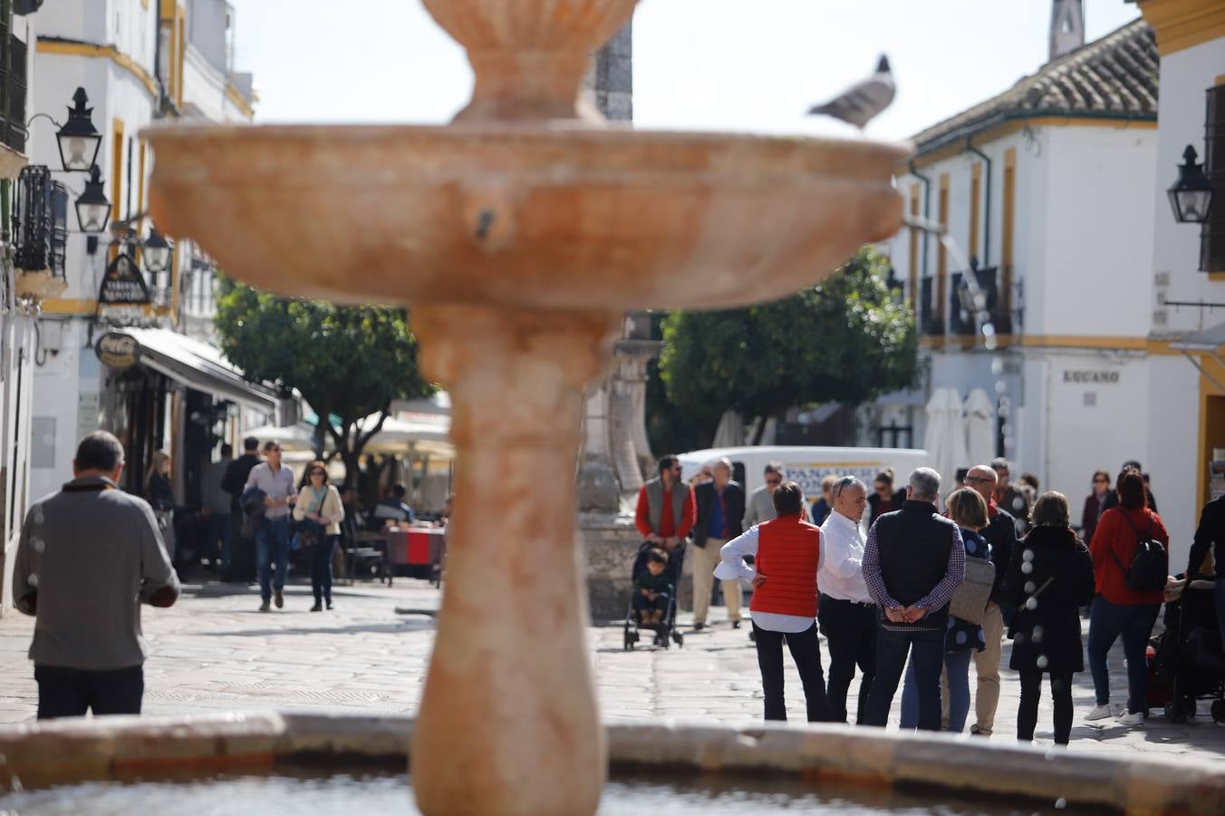 El buen tiempo del sábado en Córdoba, en imágenes