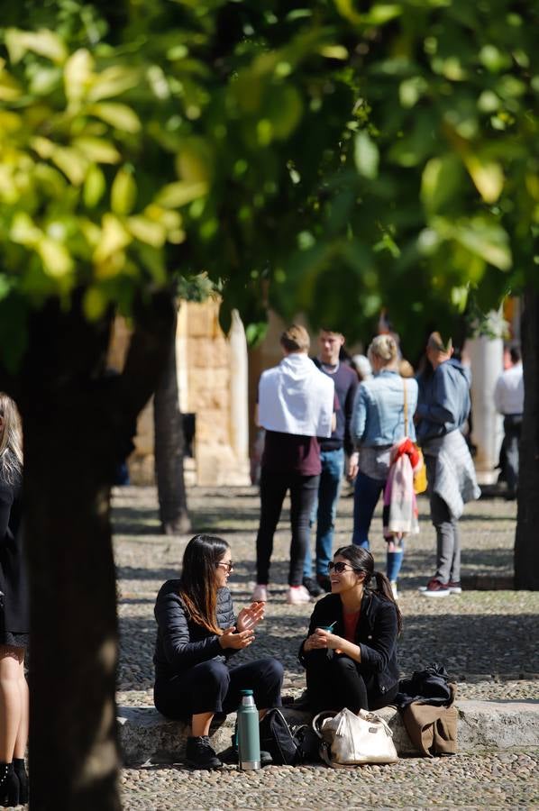 El buen tiempo del sábado en Córdoba, en imágenes