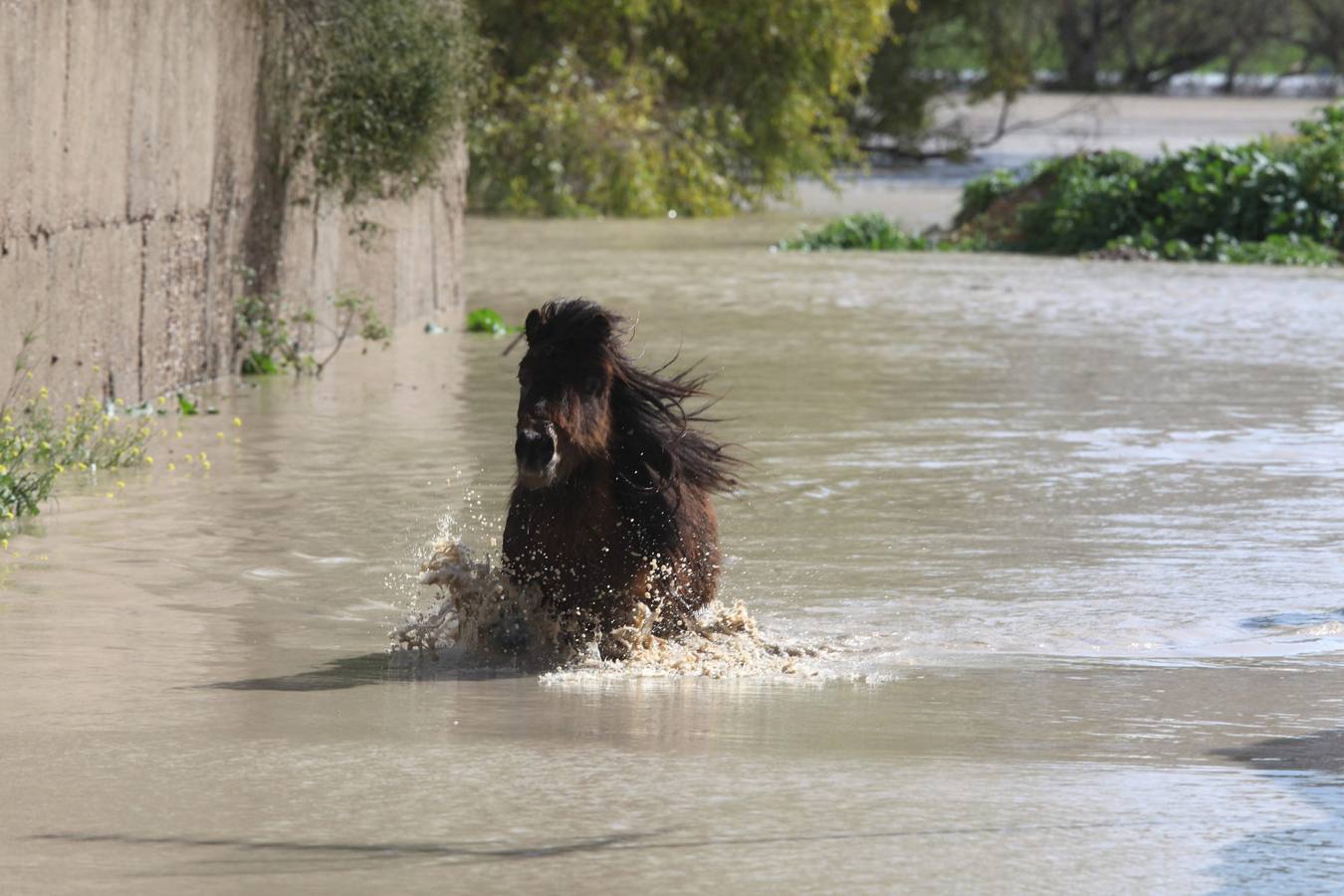 Las inundaciones de febrero de 2010 en Córdoba, en imágenes