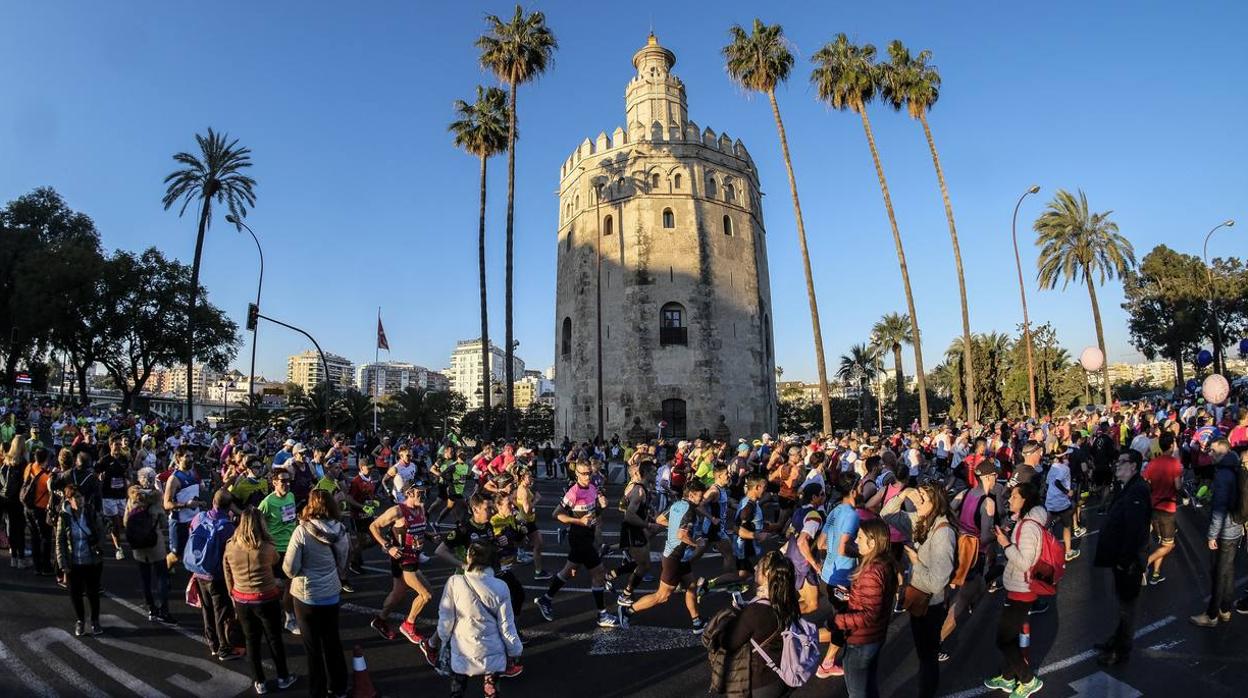 ¿Has corrido el Zurich Maratón Sevilla 2020? ¡Búscate! (VIII)