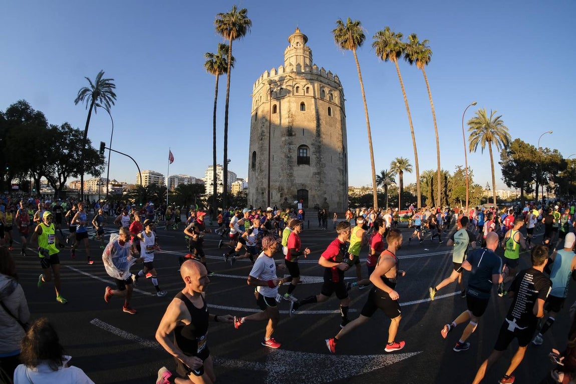 ¿Has corrido el Zurich Maratón Sevilla 2020? ¡Búscate! (VII)