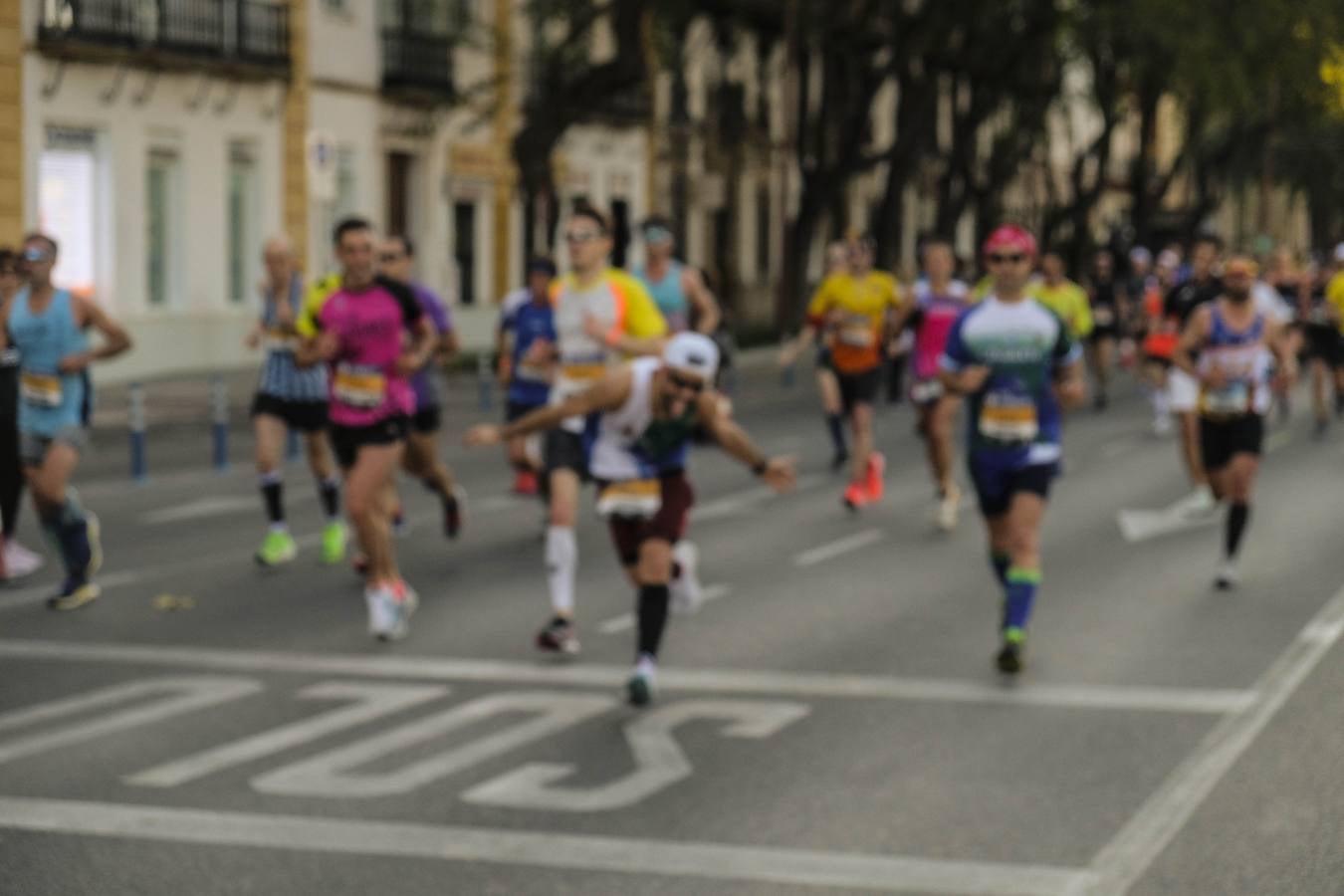 ¿Has corrido el Zurich Maratón Sevilla 2020? ¡Búscate! (IX)