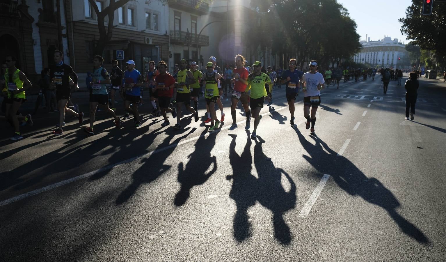 ¿Has corrido el Zurich Maratón Sevilla 2020? ¡Búscate! (IX)