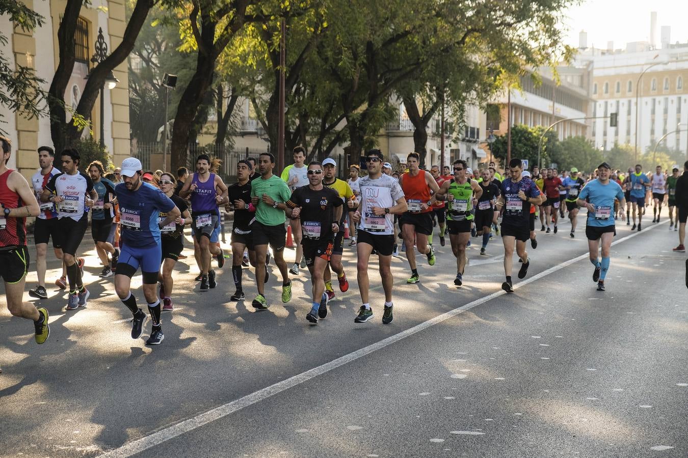 ¿Has corrido el Zurich Maratón Sevilla 2020? ¡Búscate! (IX)