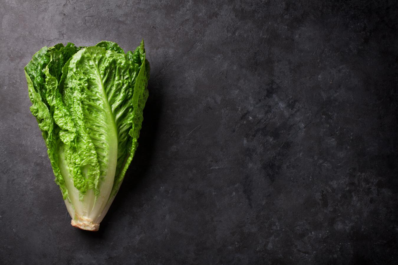 Lechuga. Prácticamente todo el año se puede disfrutar de este vegetal. A la hora de escoger este producto, hay que fijarse en que las hojas, cuanto más oscuras, más nutritivas son. Tiene bajo índice de calorías y un efecto saciante que sirve como dieta adelgazante, además de un 34,7% de calcio por cada 100 mg, según datos de la BEDCA.