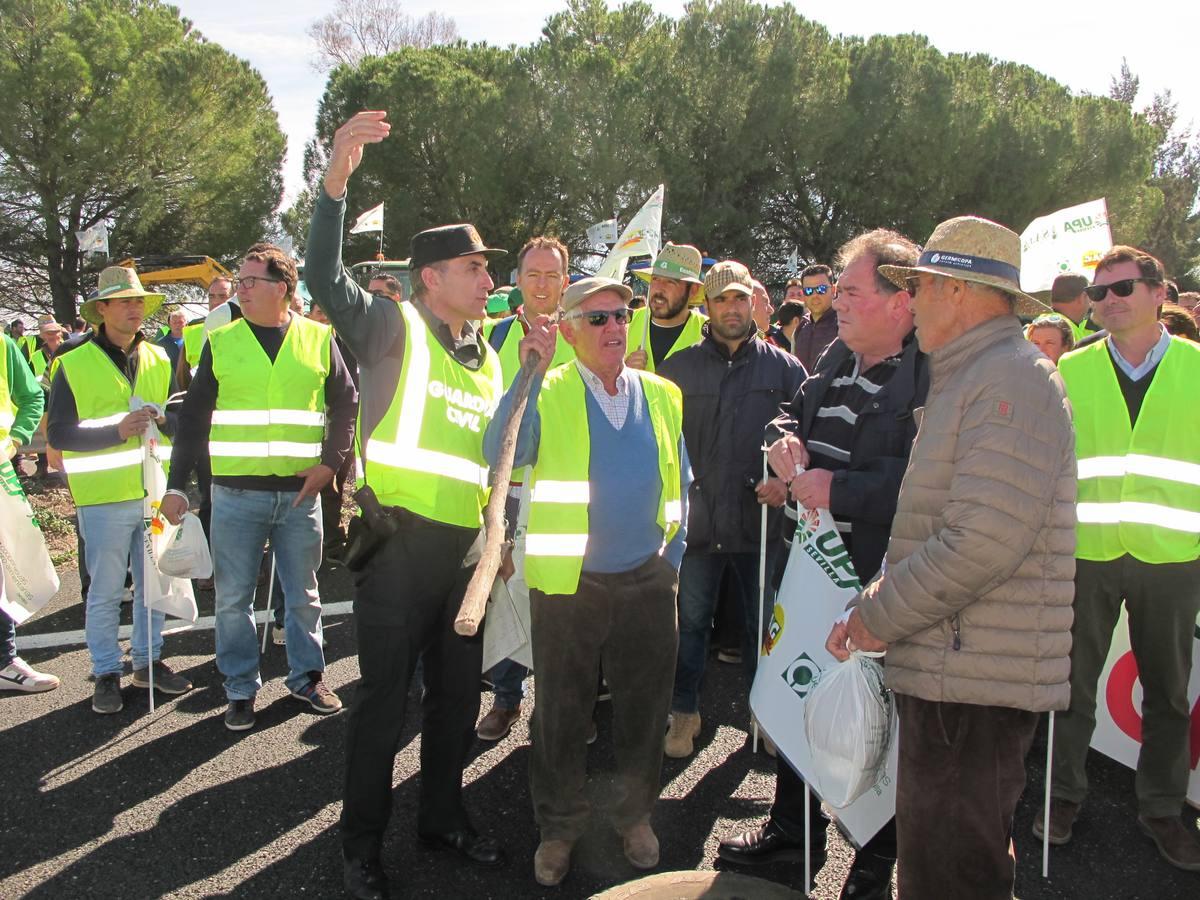 Fotogalería: los tractores, en la autopista de Sevilla-Cádiz, AP-4