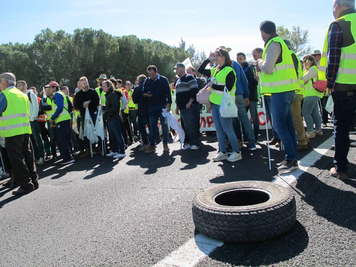 Fotogalería: los tractores, en la autopista de Sevilla-Cádiz, AP-4