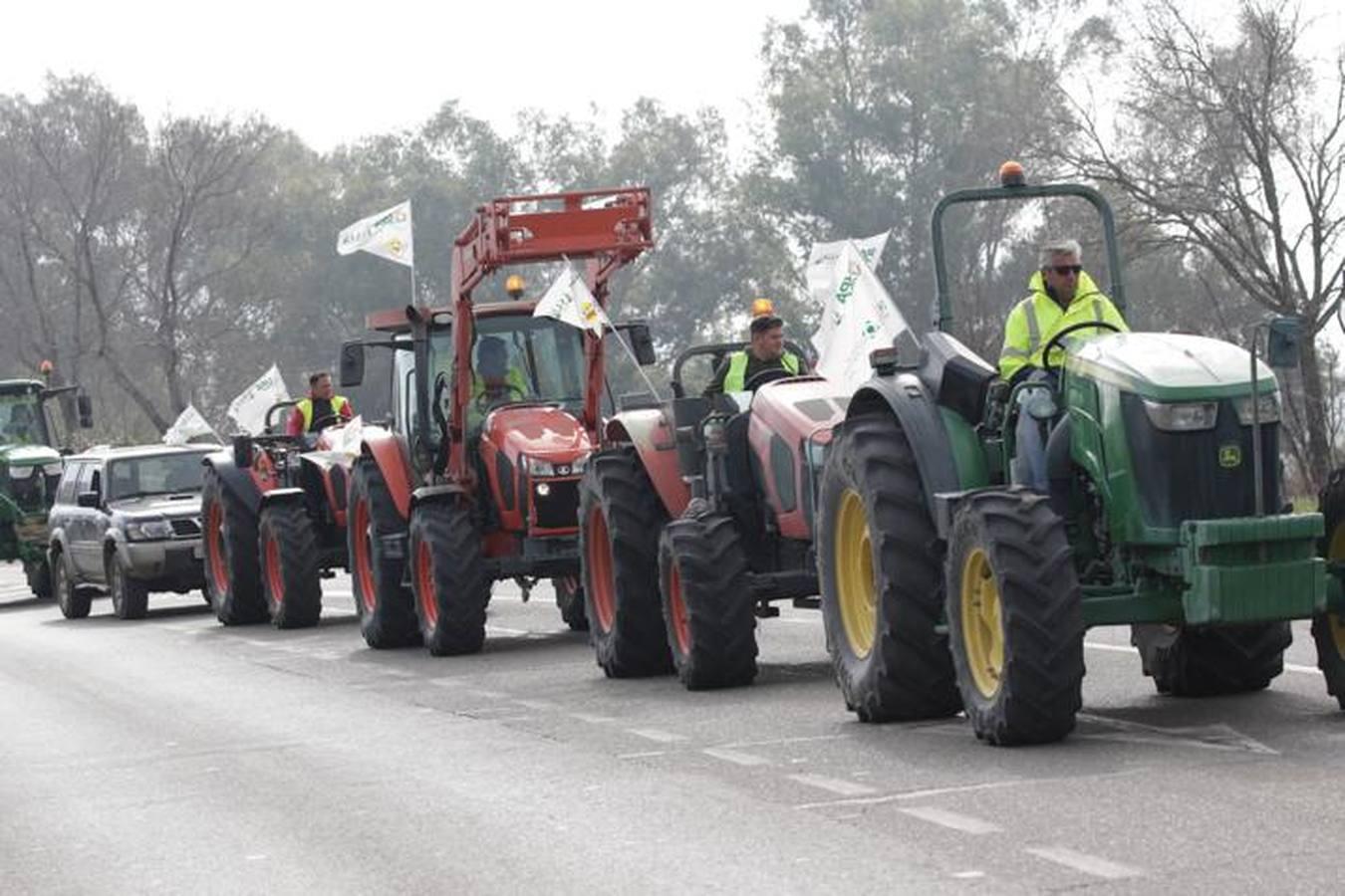 En imágenes, la tractorada de agricultores en la autovía A-4