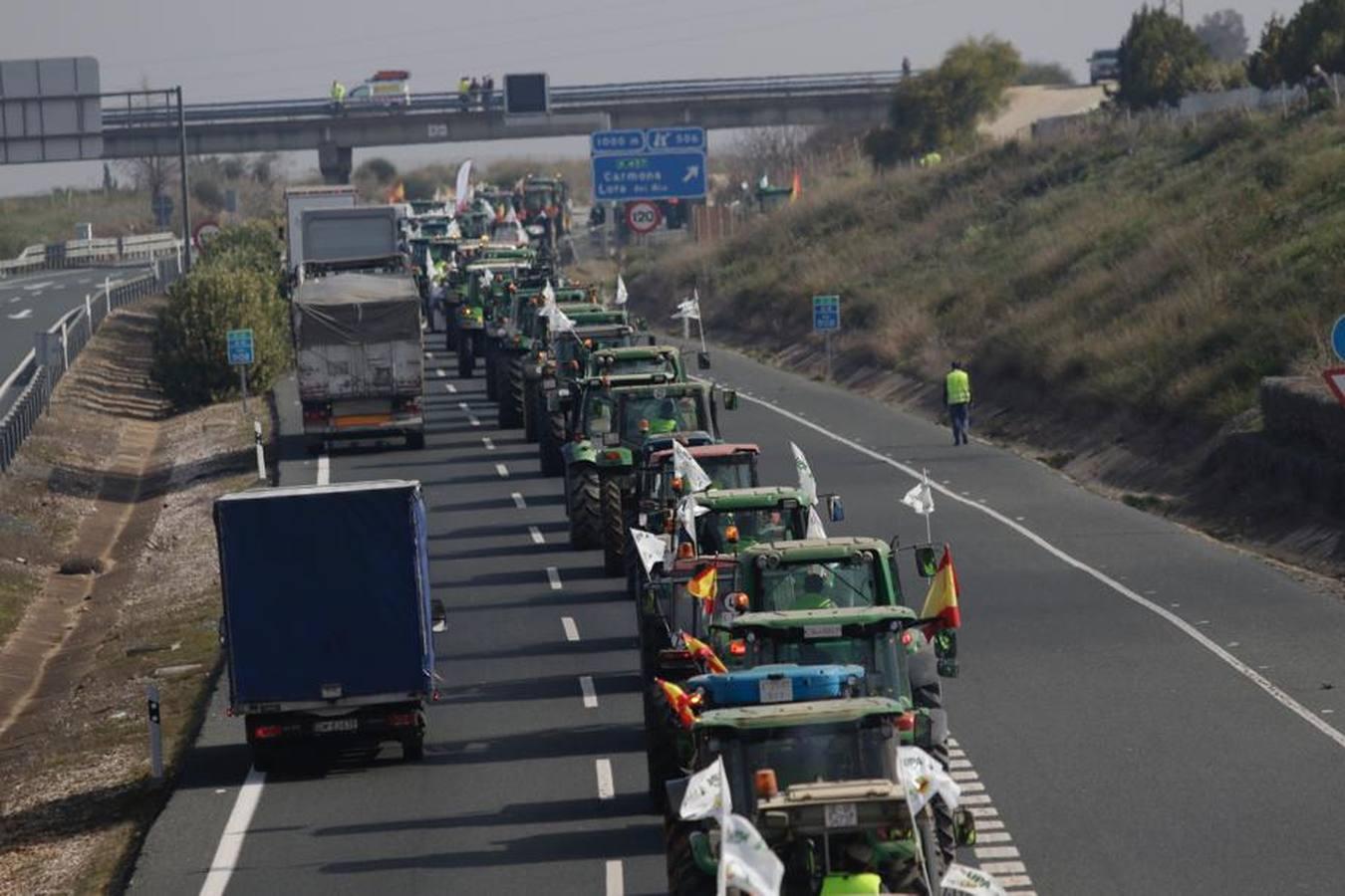 En imágenes, la tractorada de agricultores en la autovía A-4