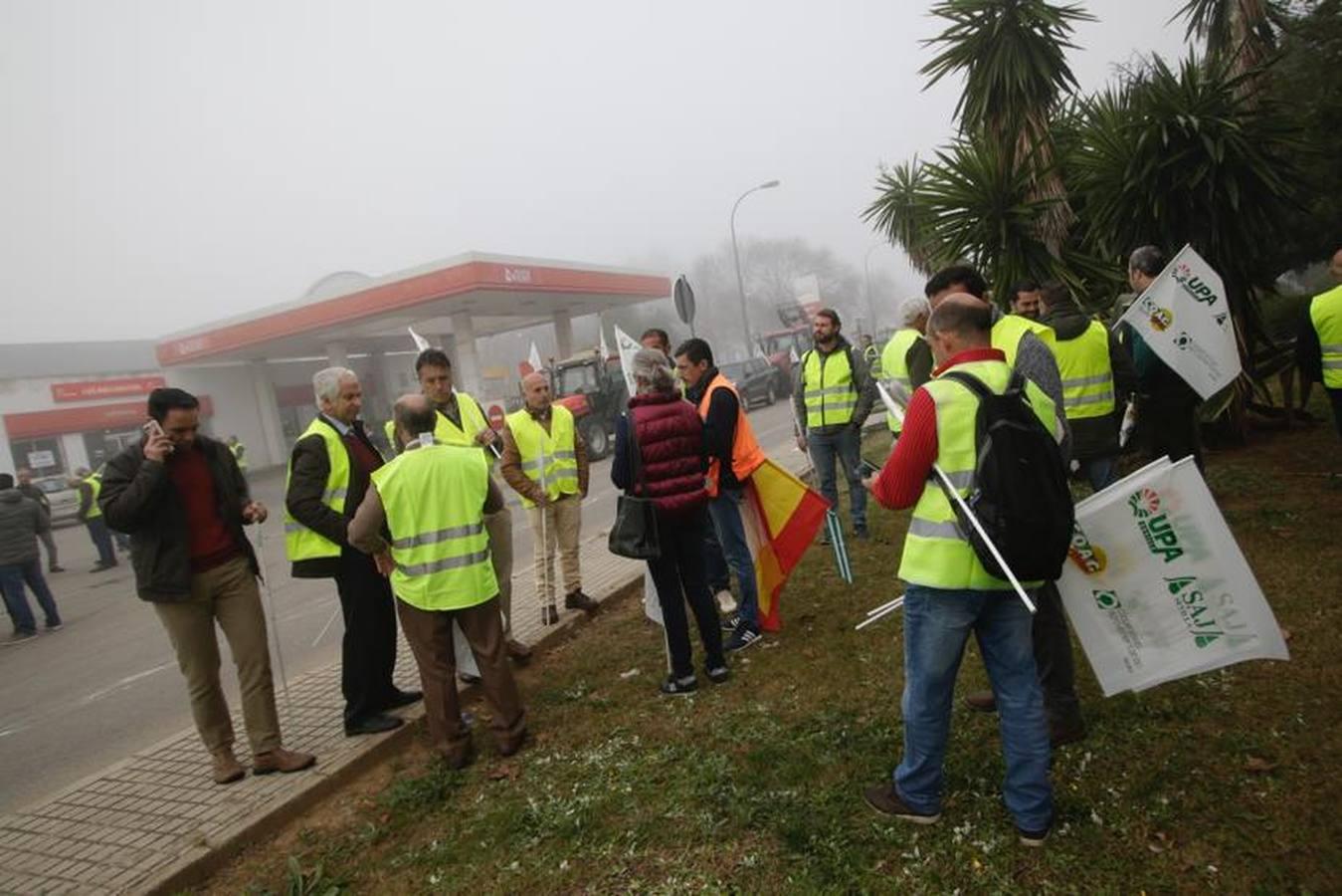 En imágenes, la tractorada de agricultores en la autovía A-4