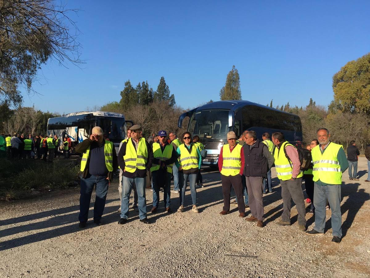 Fotogalería: los tractores, en la autopista de Sevilla-Cádiz, AP-4