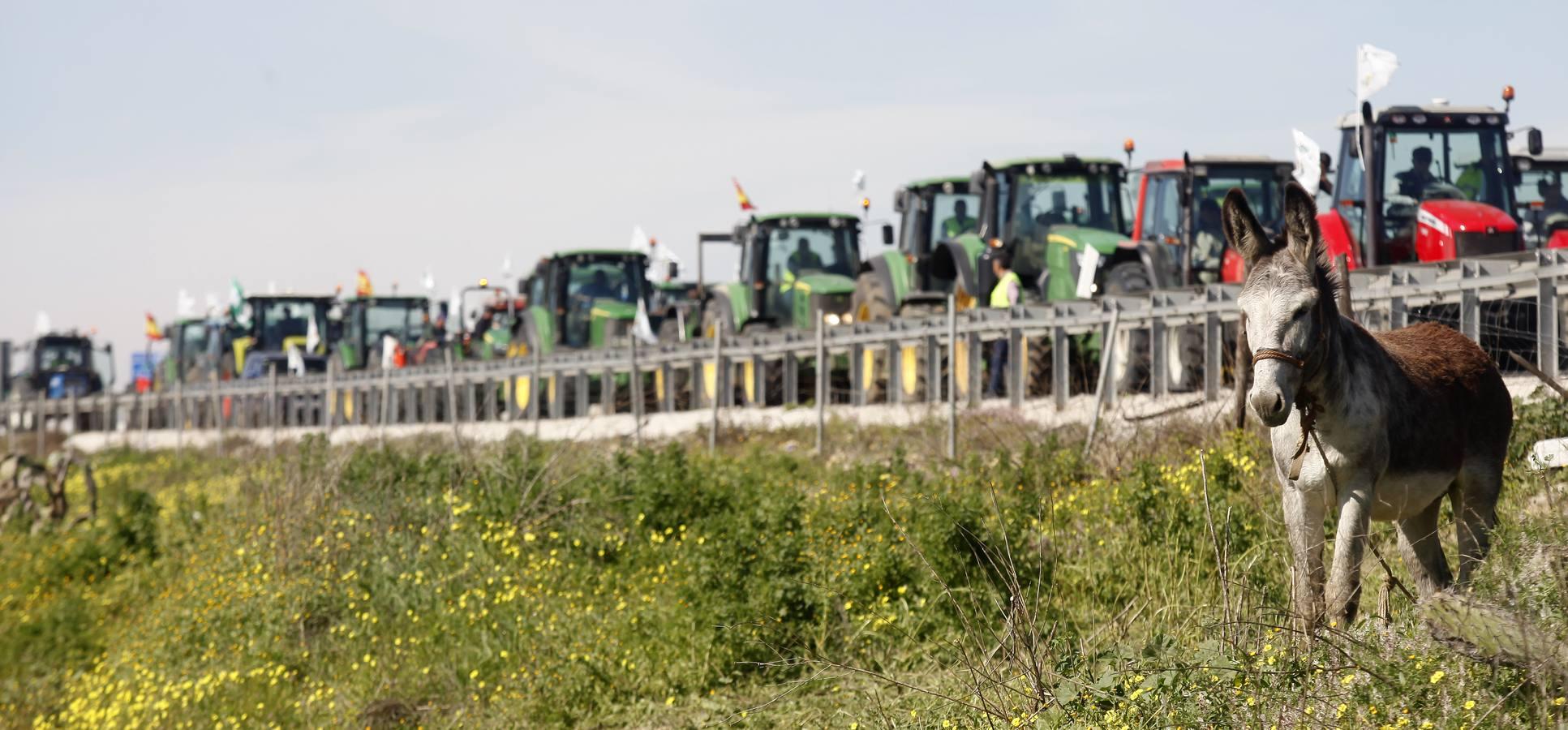 La tractorada corta la autovía que une Sevilla y Huelva, la A-49, en imágenes