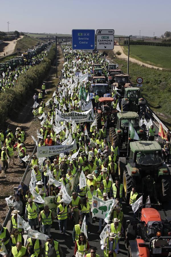 En imágenes, la tractorada de agricultores en la autovía A-4