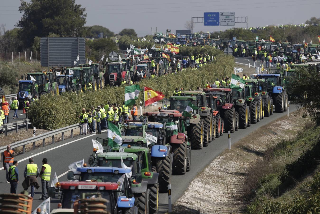 En imágenes, la tractorada de agricultores en la autovía A-4