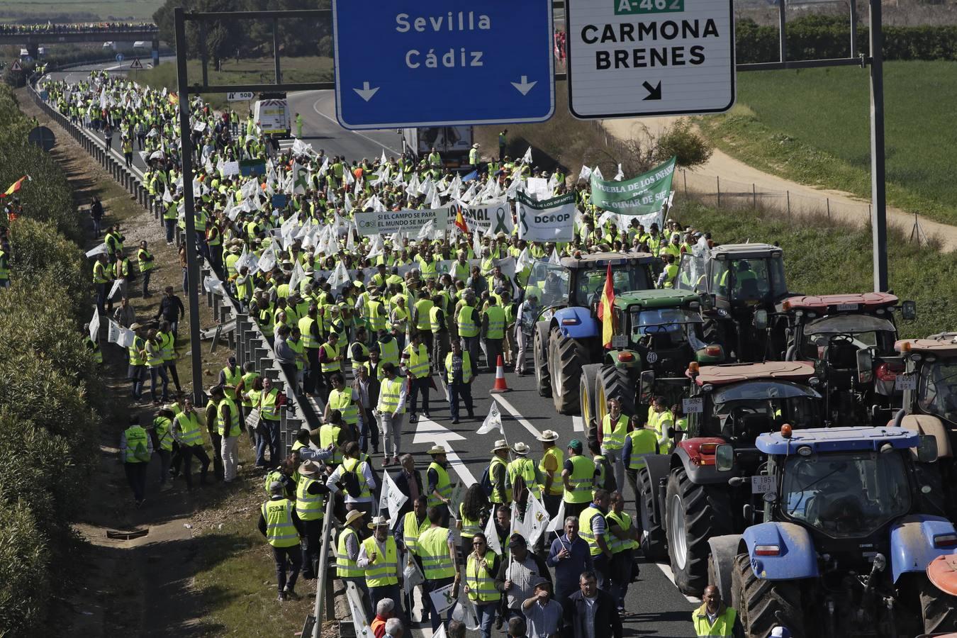 En imágenes, la tractorada de agricultores en la autovía A-4