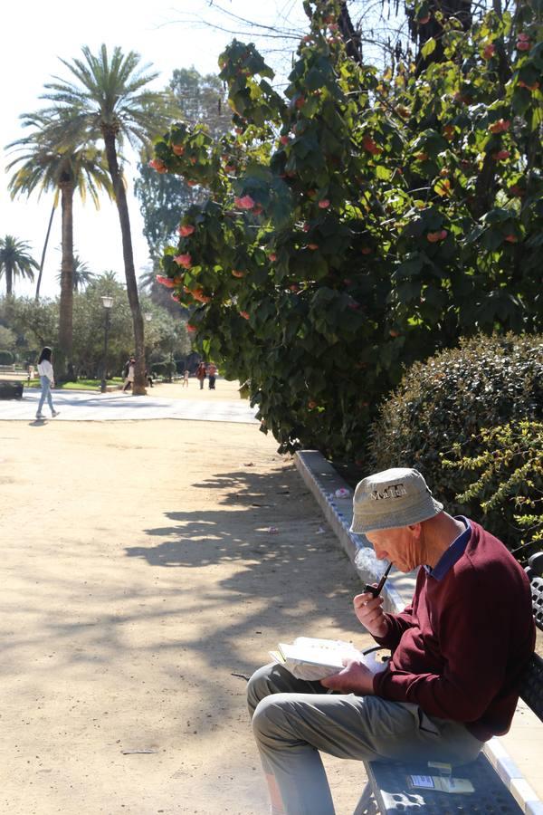 Sevilla vive ya en primavera