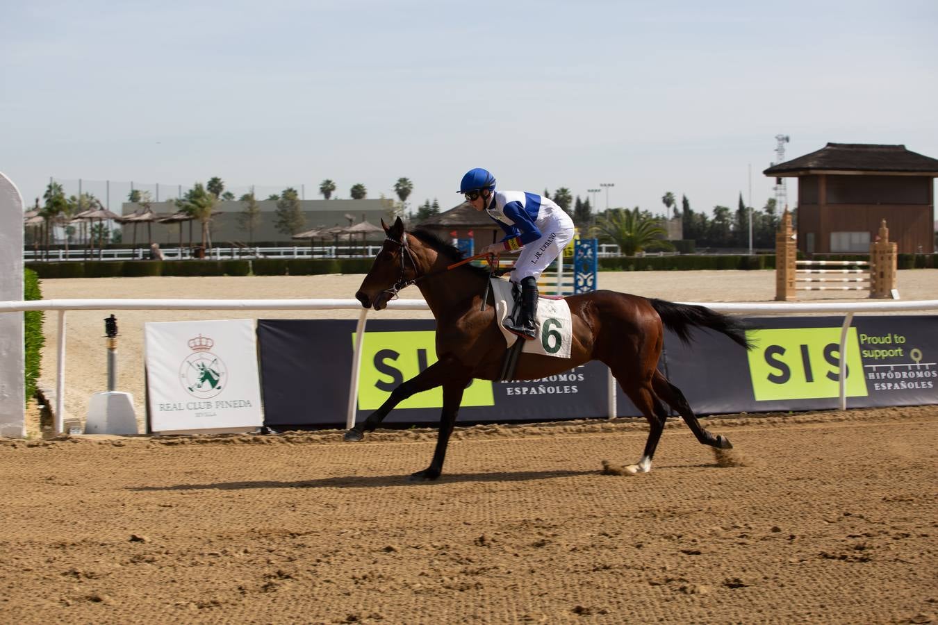 En imágenes, el inicio de las carreras de caballos de Pineda