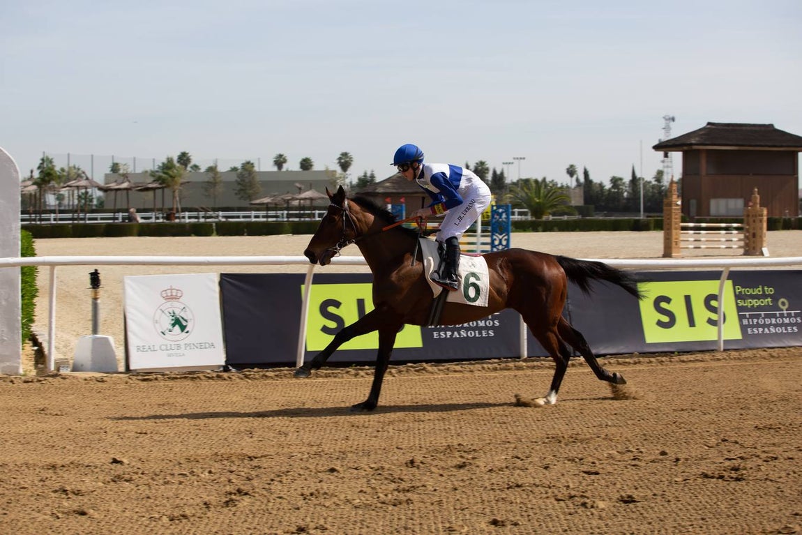 En imágenes, el inicio de las carreras de caballos de Pineda