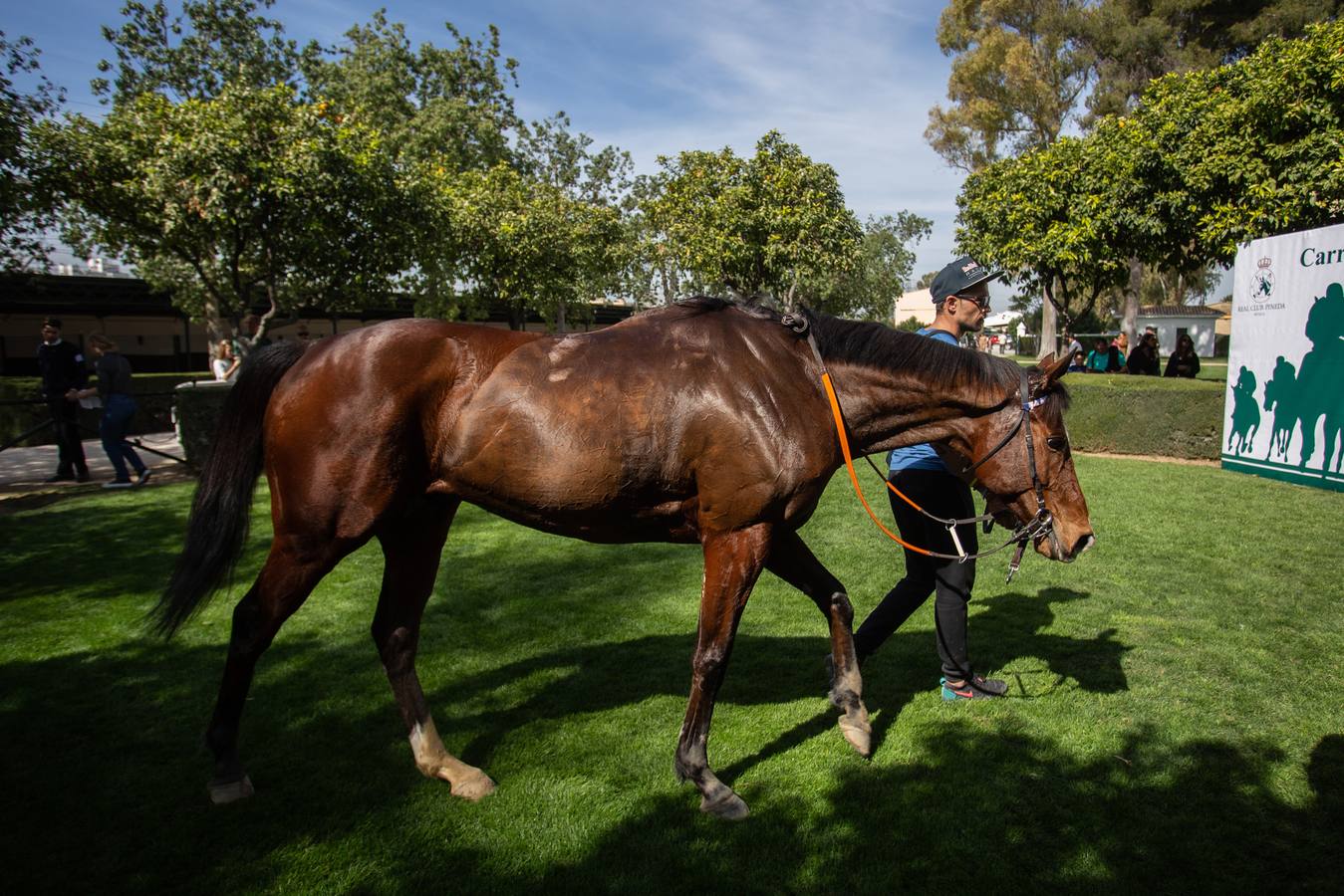 En imágenes, el inicio de las carreras de caballos de Pineda