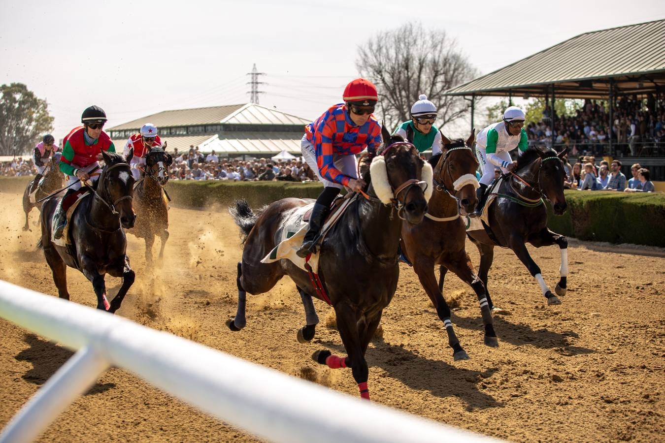 En imágenes, el inicio de las carreras de caballos de Pineda