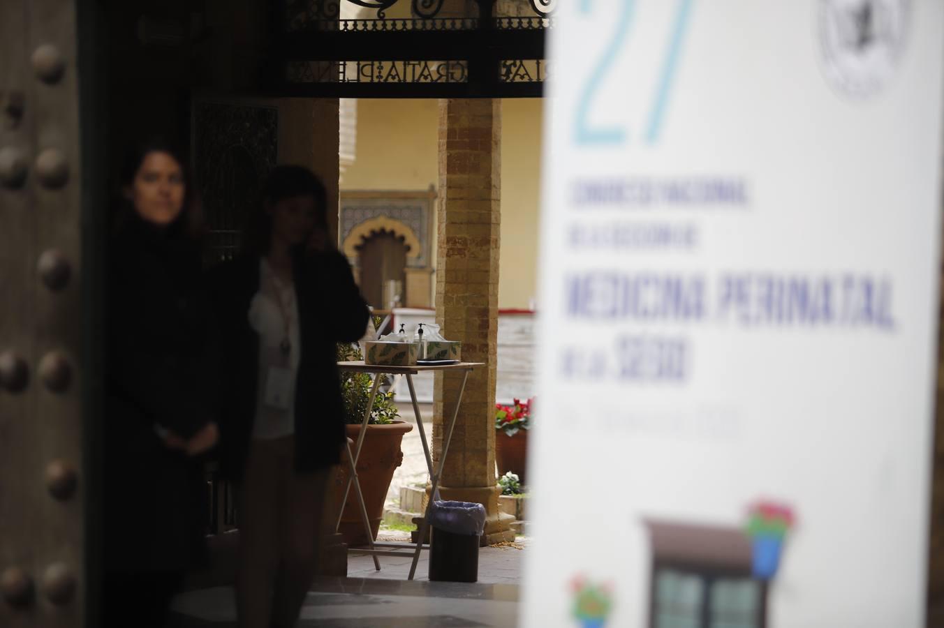 El XXVII Congreso Perinatal en el Palacio de Exposiciones en Torrijos, en imágenes