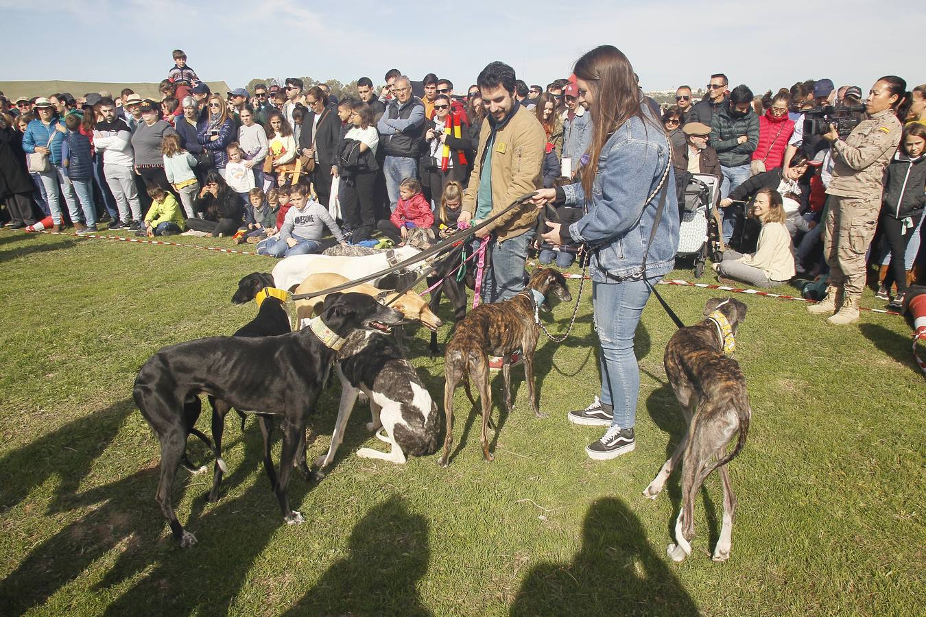 En imágenes, helicópteros y cazas del Ejército del Aire al cielo de Sevilla