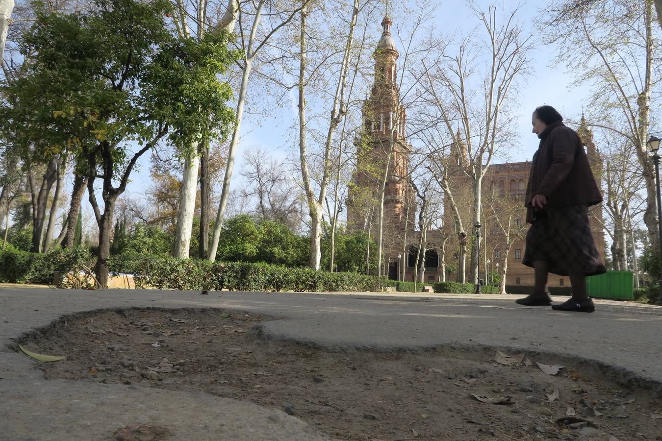 El abandono de parques y zonas verdes de Sevilla