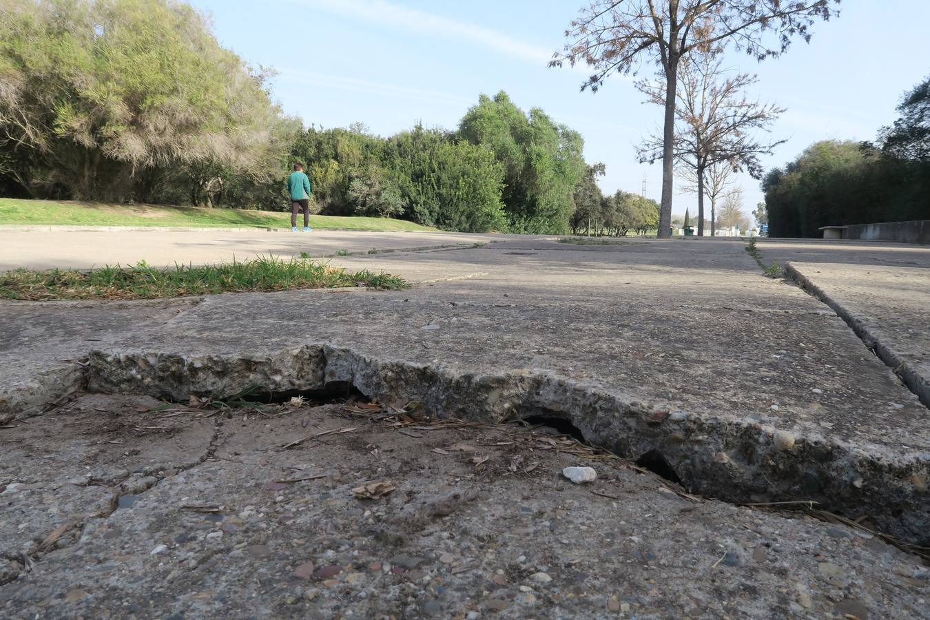 El abandono de parques y zonas verdes de Sevilla