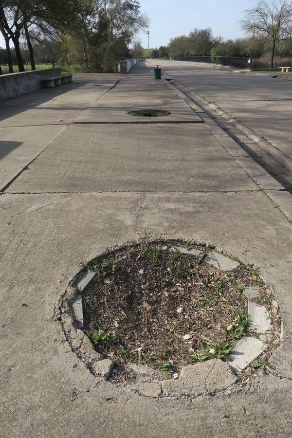 El abandono de parques y zonas verdes de Sevilla