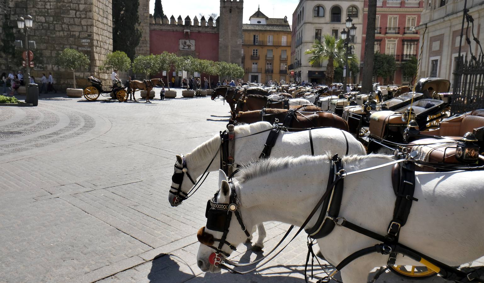 El coronavirus vacía los monumentos de Sevilla