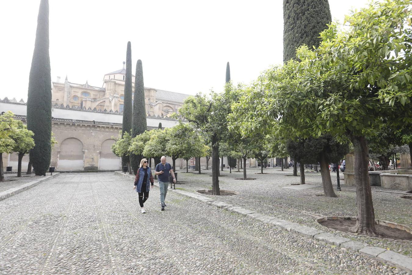 El ambiente en la Mezquita-Catedral de Córdoba hoy, en imágenes