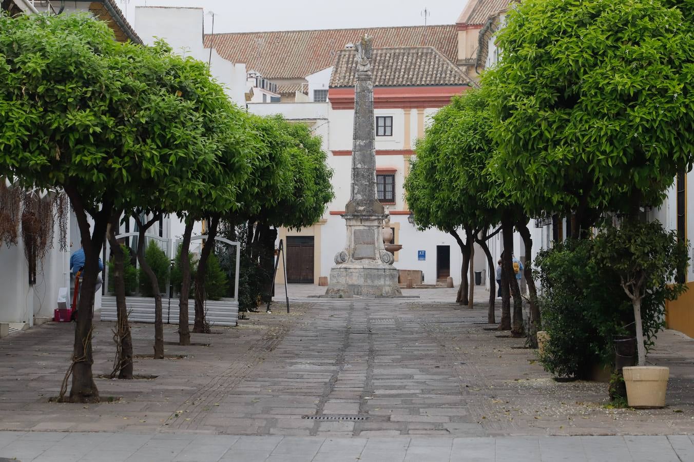 Comercios cerrados y calles vacías por el coronavirus en Córdoba