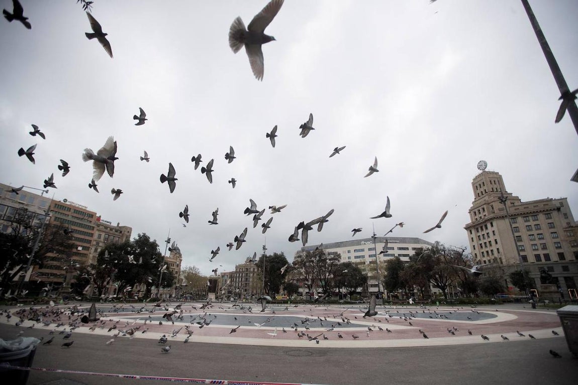 Plaza Cataluña, en Barcelona, sin ciudadanos ni visitantes. 