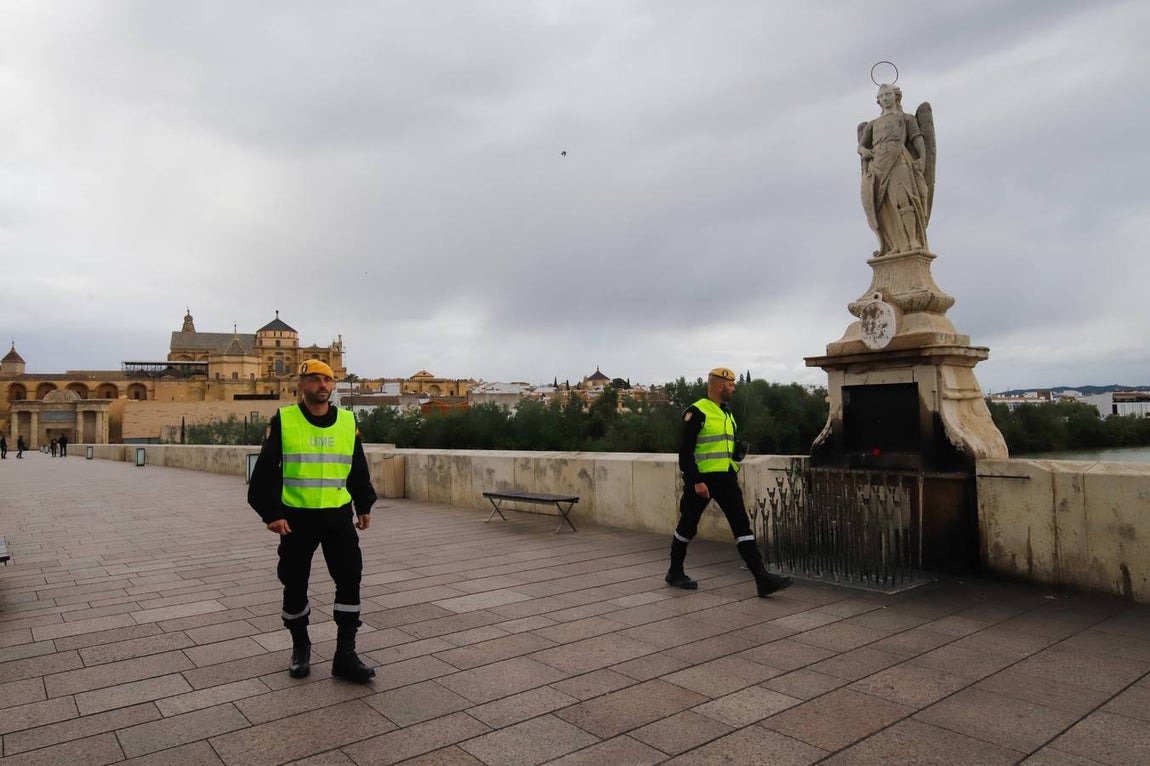 El despliegue de la UME en las arterias y monumentos de Córdoba, en imágenes