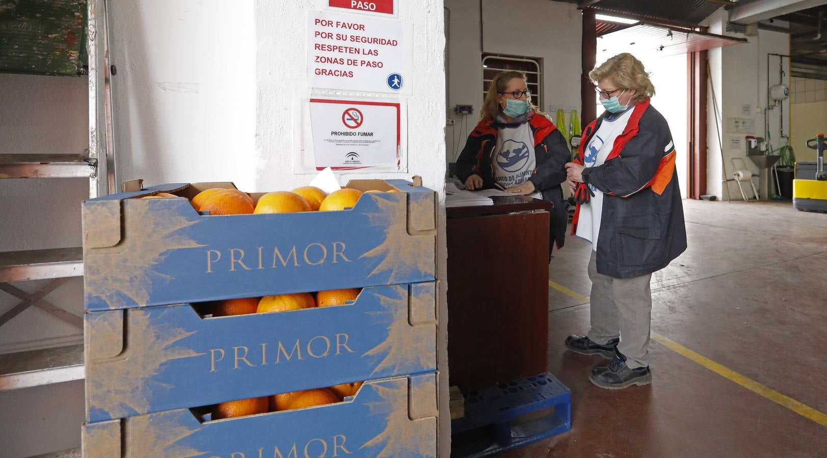 En imágenes, el reparto de comida en Córdoba frente al coronavirus