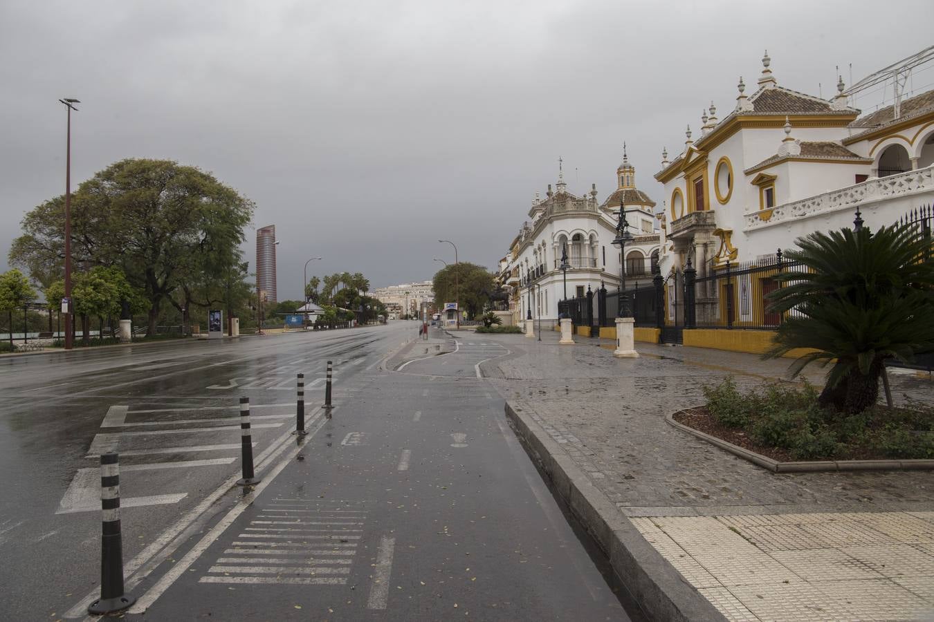 En imágenes, el coronavirus y la lluvia traen una estampa fantasmal de Sevilla