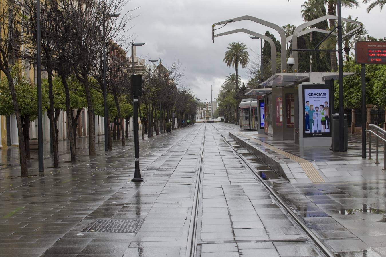 En imágenes, el coronavirus y la lluvia traen una estampa fantasmal de Sevilla