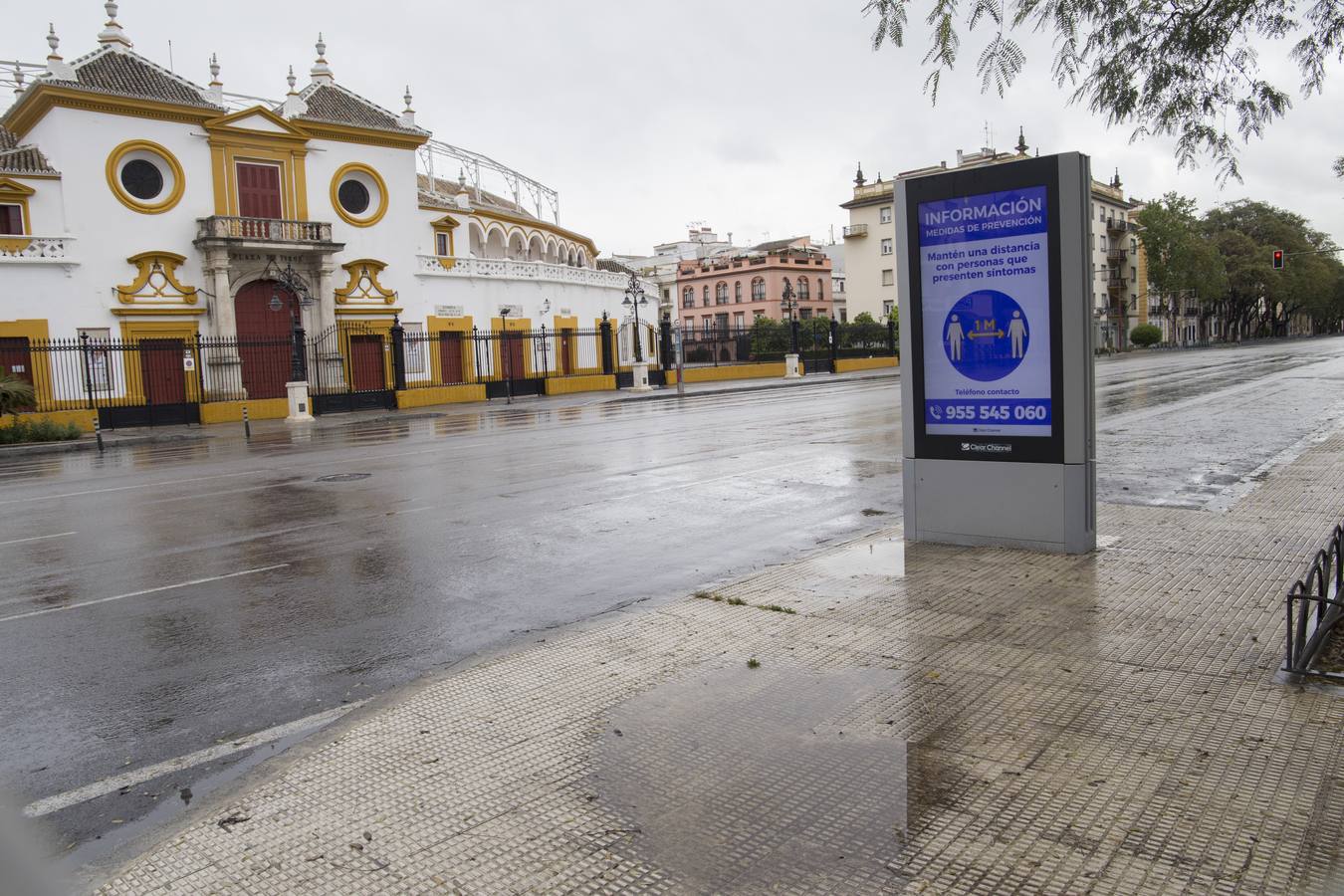 En imágenes, el coronavirus y la lluvia traen una estampa fantasmal de Sevilla