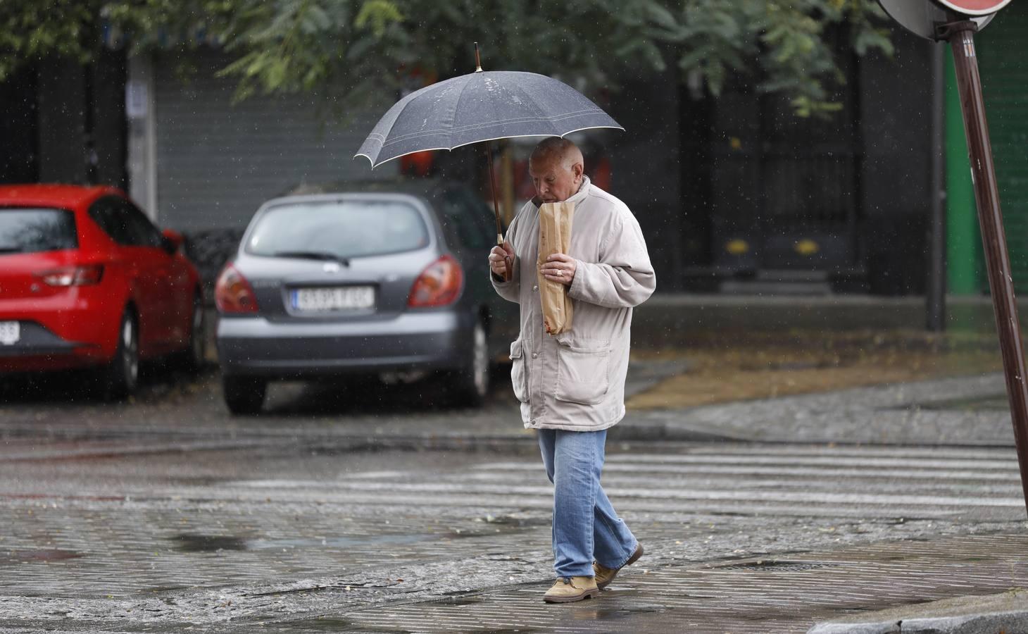 Las calles desiertas de un domingo de coronavirus en Córdoba, en imágenes